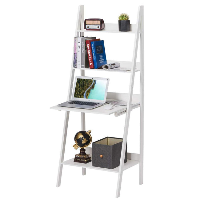Modern Ladder Shelf